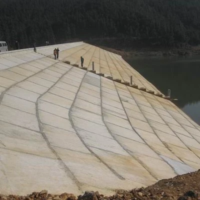 水库除险加固工程背坡施工后照片