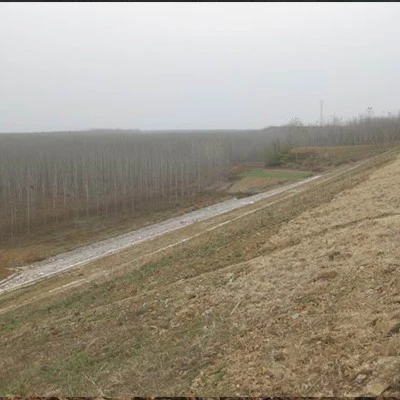 水库除险加固工程背坡施工后照片